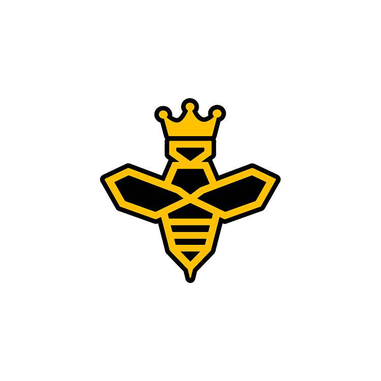 Home 4 clue-content-client-dani-wallace